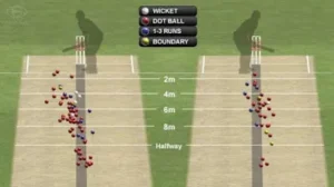 Use of Hawk-eye technology in pitch report of a cricket match