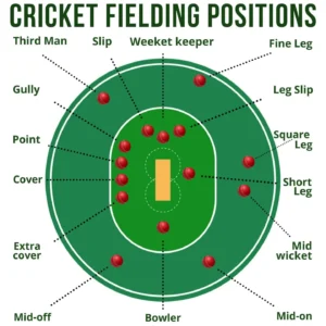 fielding positions